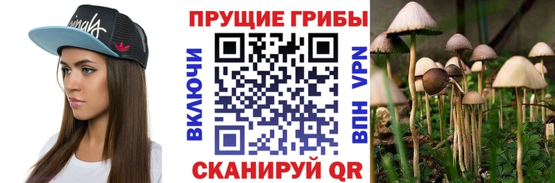 Псилоцибиновые грибы мухоморы купить сайты Лебедянь